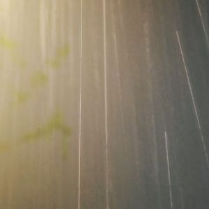 骆驼的号角