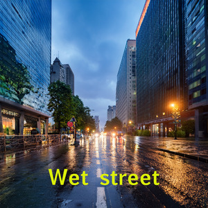 With Her in the Twilight