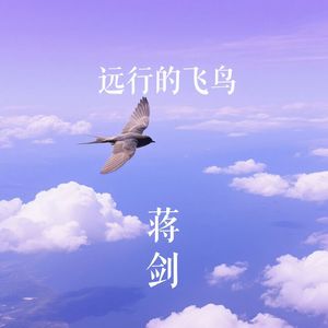 远行的飞鸟