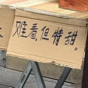 耿(翻唱 是二智呀)