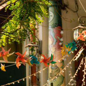 我把你养成了我的习惯