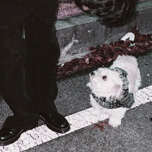 冬に置いてきたもの