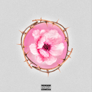 Suas Amigas (These B*tches)