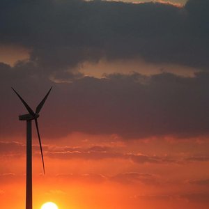 动了情入了戏伤了心