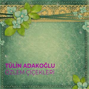 Sen Gençliğimin Katilisin