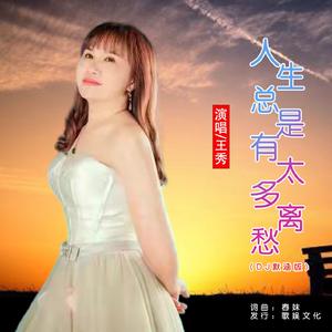 人生总是有太多离愁 (DJ版)