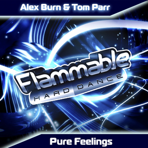 Pure Feelings (Original Mix)