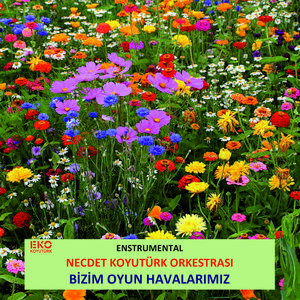 Bizim Oyun Havalarımız (Enstrümantal)