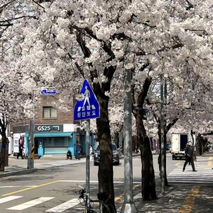 3시의 창문（凌晨三点的窗户）
