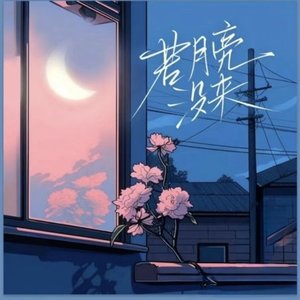 若月亮没来(热播说唱版Live)