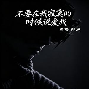 不要在我寂寞的时候说爱我（Funk版）