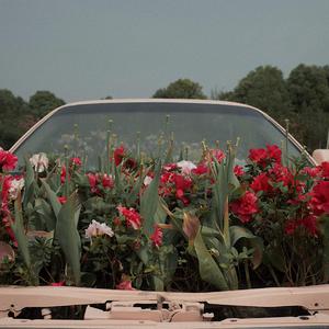 生日快乐（demo）