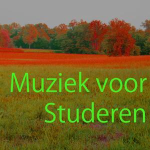 Muziek voor Studeren 8