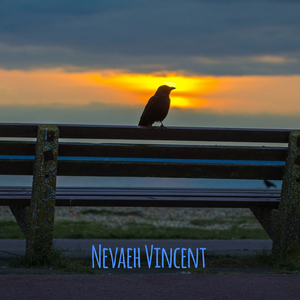 Nice Weather for Drums