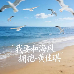我要和海风拥抱