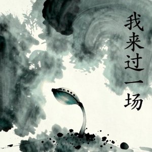 我来过一场
