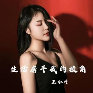 生活磨平我的棱角