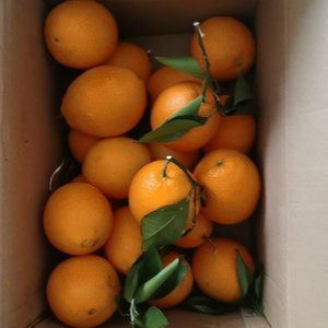 《四点便利店》