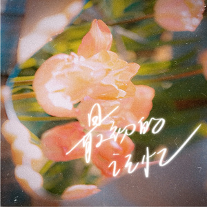 最初的记忆（Cover：徐佳莹）