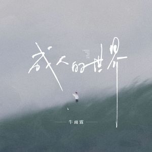 成人的世界