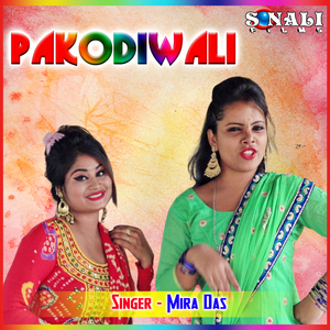 Pakodiwali