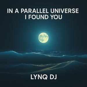 In a Parallel Universe I Found You