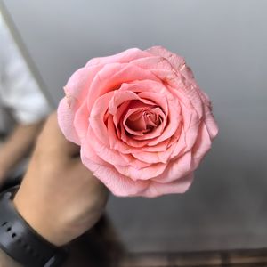 爱