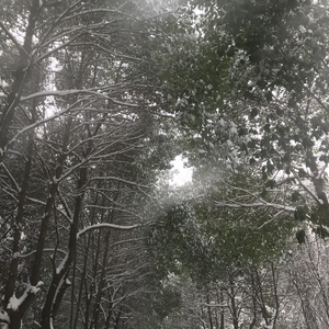 MICCOFFEE-Ending（NoRich-F remix）