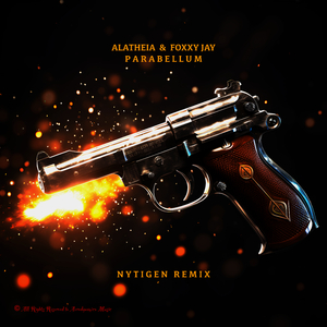 Parabellum (NyTiGen Remix)