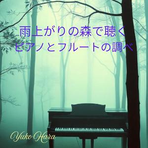 大地のぬくもりを感じるアンビエントフォレスト