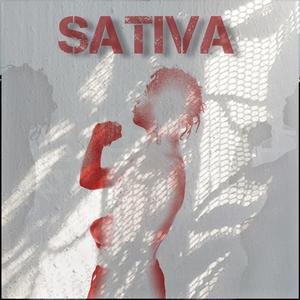 Sativa