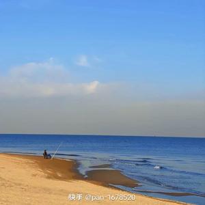 杨花落尽子规啼