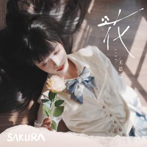 花（Cover鞠婧祎）