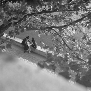 Bir Rüyanın Peşine