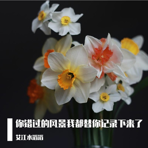 你错过的风景我都替你记录下来了