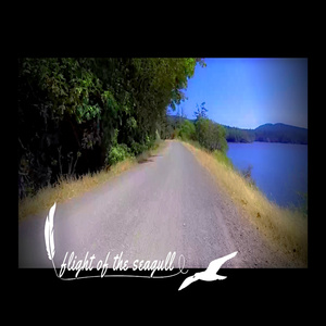 Flight of the Seagull