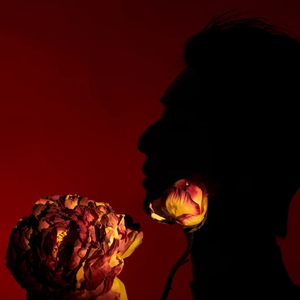 如果我变成回忆