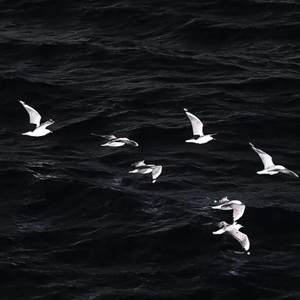 我把往事化如烟