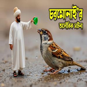 চরমোনাইর একটি কাহিনী শুনে অবাক হবেন