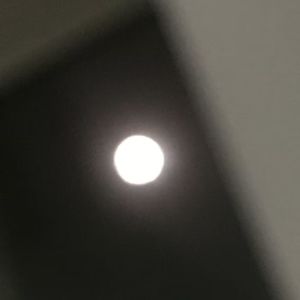 月打令달타령（Mr.Trot top6 ver.）