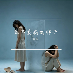 你不愛我的樣子