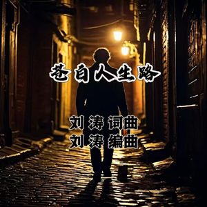 苍白人生路 伴奏