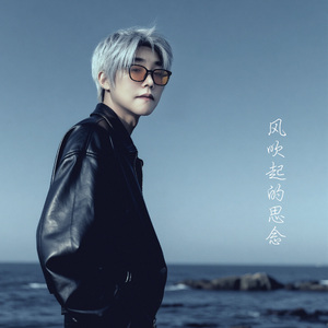 风吹起的思念