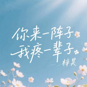 你来一阵子我疼一辈子