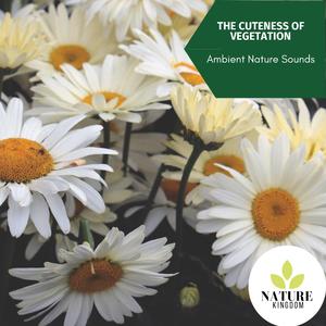 The Fire Sound for Peace