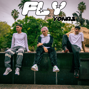 Fly