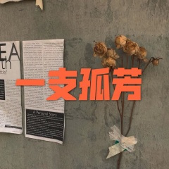 一枝孤芳 (吉他版)