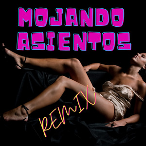 A Veces Bien Y A Veces Mal (Remix)