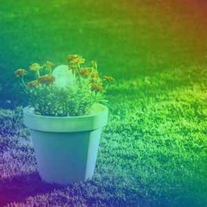 柔和的梦想时刻