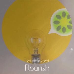 Twilight Shuttlecock